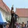 images/Allgor_soubory/foto/160528/27.jpg