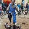images/Allgor_soubory/foto/140517/7.jpg